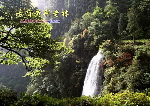 古蔺黄荆风景区
