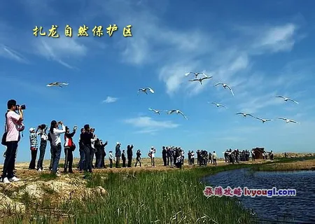 扎龙自然保护区