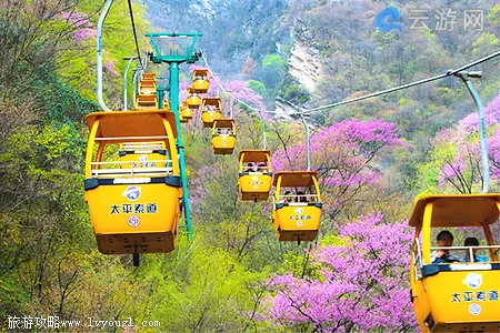 西安太平森林公园