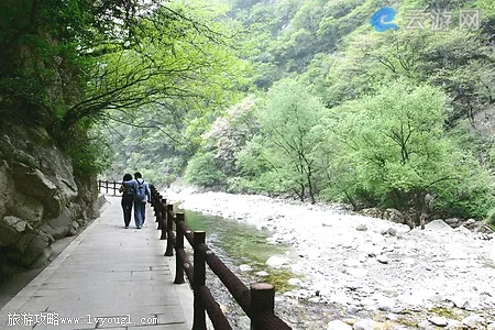 太平森林公园情侣滩