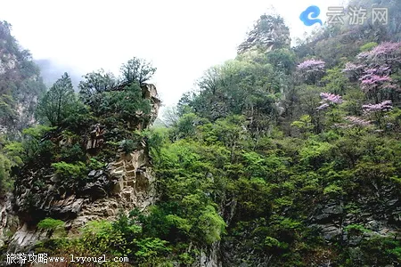 太平森林公园石门景区