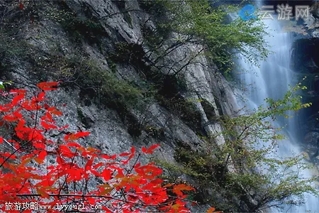 太平森林公园秋景