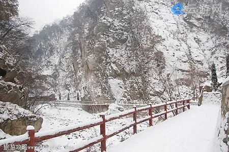 太平森林公园冬景