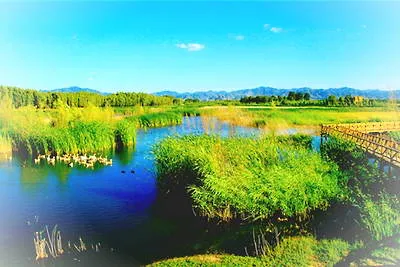 北京野鸭湖湿地公园
