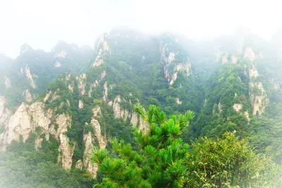 西安蓝田王顺山国家森林公园