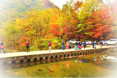 凤城蒲石河森林公园