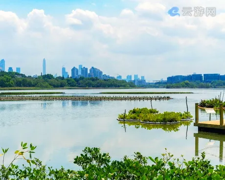 深圳华侨城湿地公园