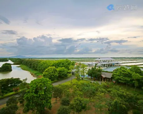 广州南沙湿地公园