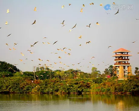 广州南沙湿地公园