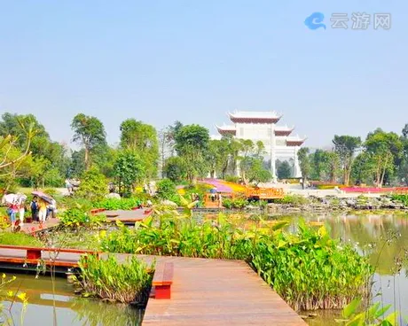 广州海珠湖湿地公园