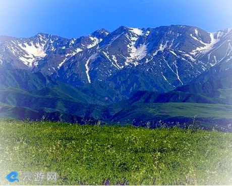 塔城巴尔鲁克山
