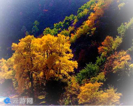 霍城中华福寿山风景区