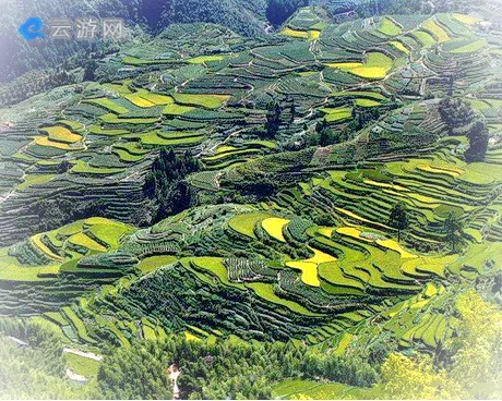 遂昌南尖岩景区