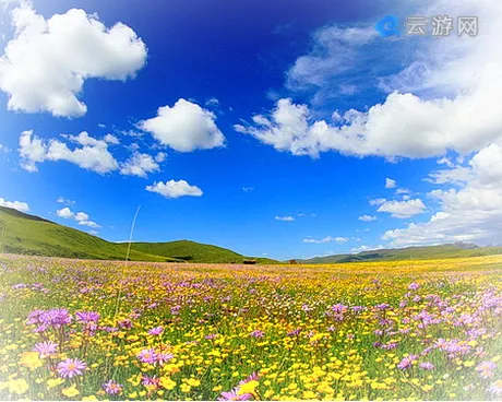 阿坝俄么塘花海风景区