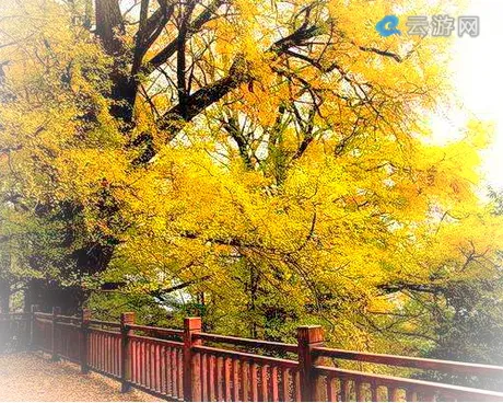 雅安蒙顶山旅游区