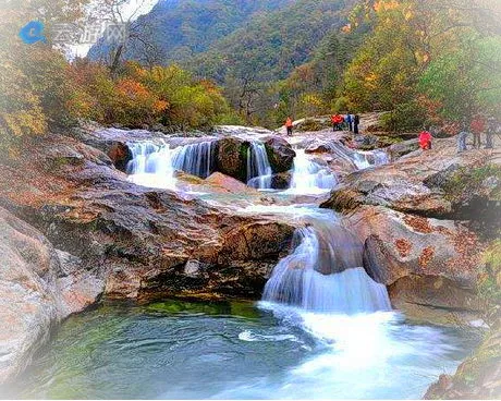 太白黄柏塬风景区