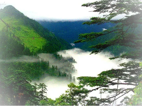 乐山峨边黑竹沟风景区
