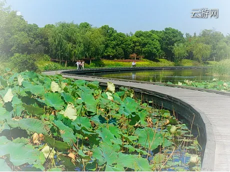 无锡滨湖区管社山庄公园