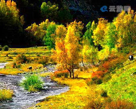 青海海东北山湿地公园