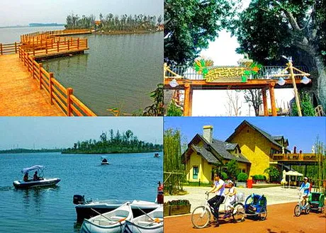 太仓金仓湖湿地公园