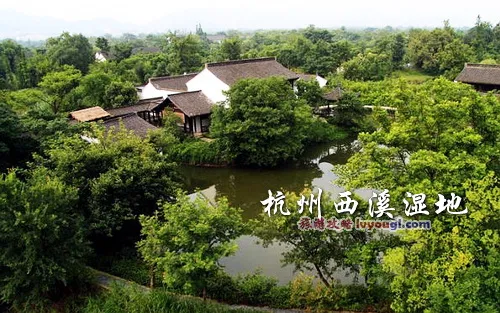 杭州西溪湿地
