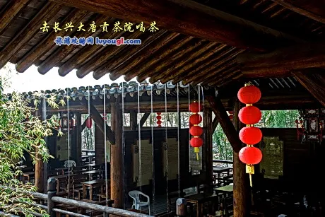 去长兴大唐贡茶院喝茶