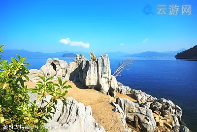 千岛湖桂花岛