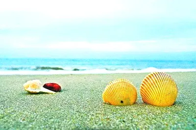 北戴河蟹贝湾