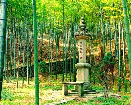 杭州东明山森林公园