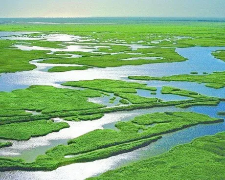 湖州德清下渚湖湿地公园