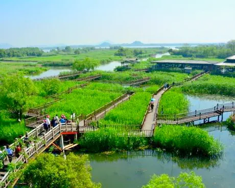 湖州德清下渚湖湿地公园