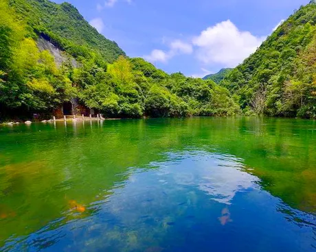 武义牛头山国家森林公园
