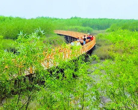 西沙国家湿地公园（西沙湿地）