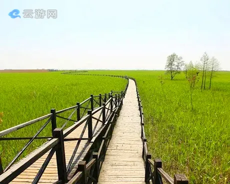 崇明西沙国家湿地公园