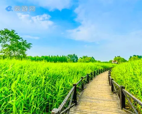 崇明西沙国家湿地公园