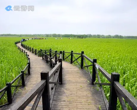 崇明西沙国家湿地公园