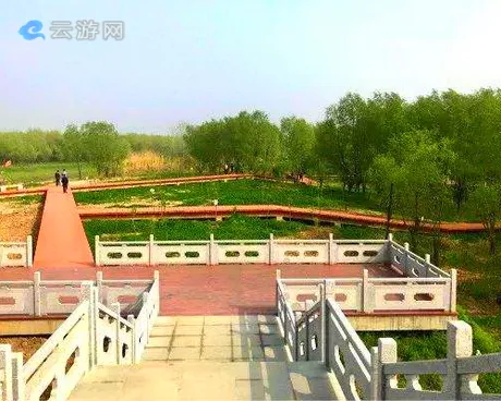 南京黄天荡湿地公园