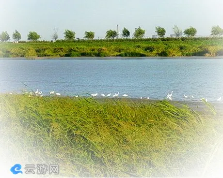 营口辽河公园