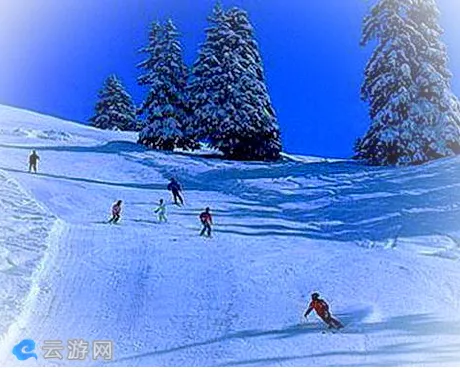 和静阳光之路国际滑雪场
