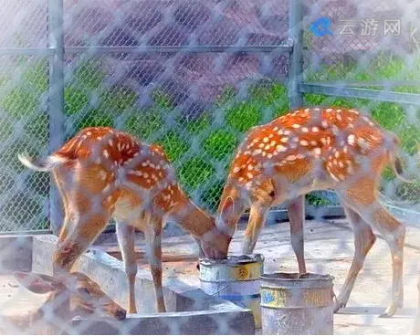 寻乌石崆寨风景区