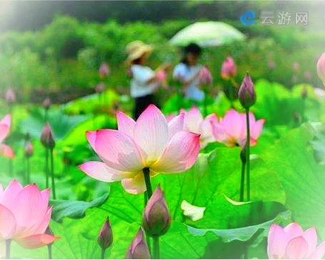 新民仙子湖风景区