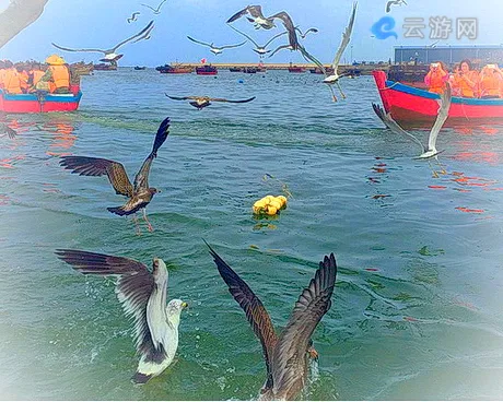大连滨海国家地质公园