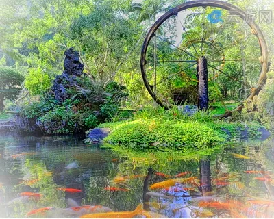 瑞丽莫里热带雨林景区