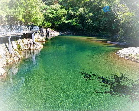 永嘉龙湾潭森林公园