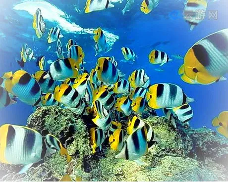 绍兴镜湖湿地海洋世界
