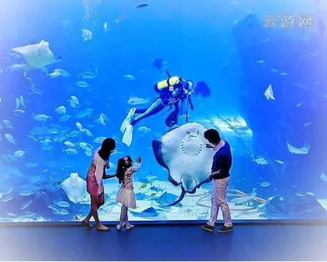 绍兴镜湖湿地海洋世界