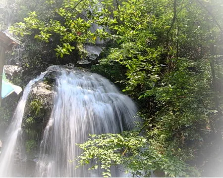 安吉藏龙百瀑风景区