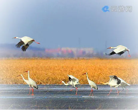 法库獾子洞国家湿地公园