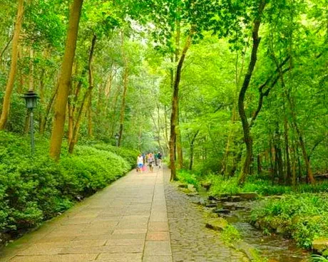 杭州西湖虎跑梦泉