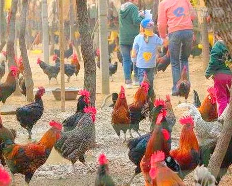 昌平七里渠农场